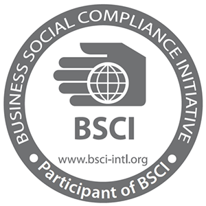 bsci audit services 300Z bsci audit report