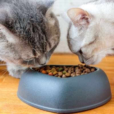 Biodegradable pet food pouch Coffee Packaging bag for ground coffee powder coffee