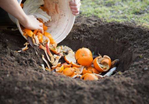 Compostable-land-fill Compostable-land-fill